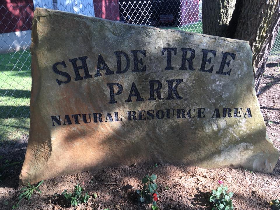 Shade Tree Park