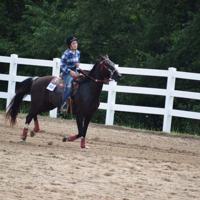 Horse SHow