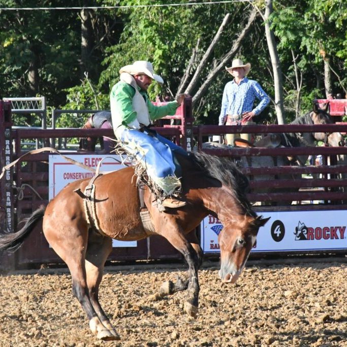 Rodeo